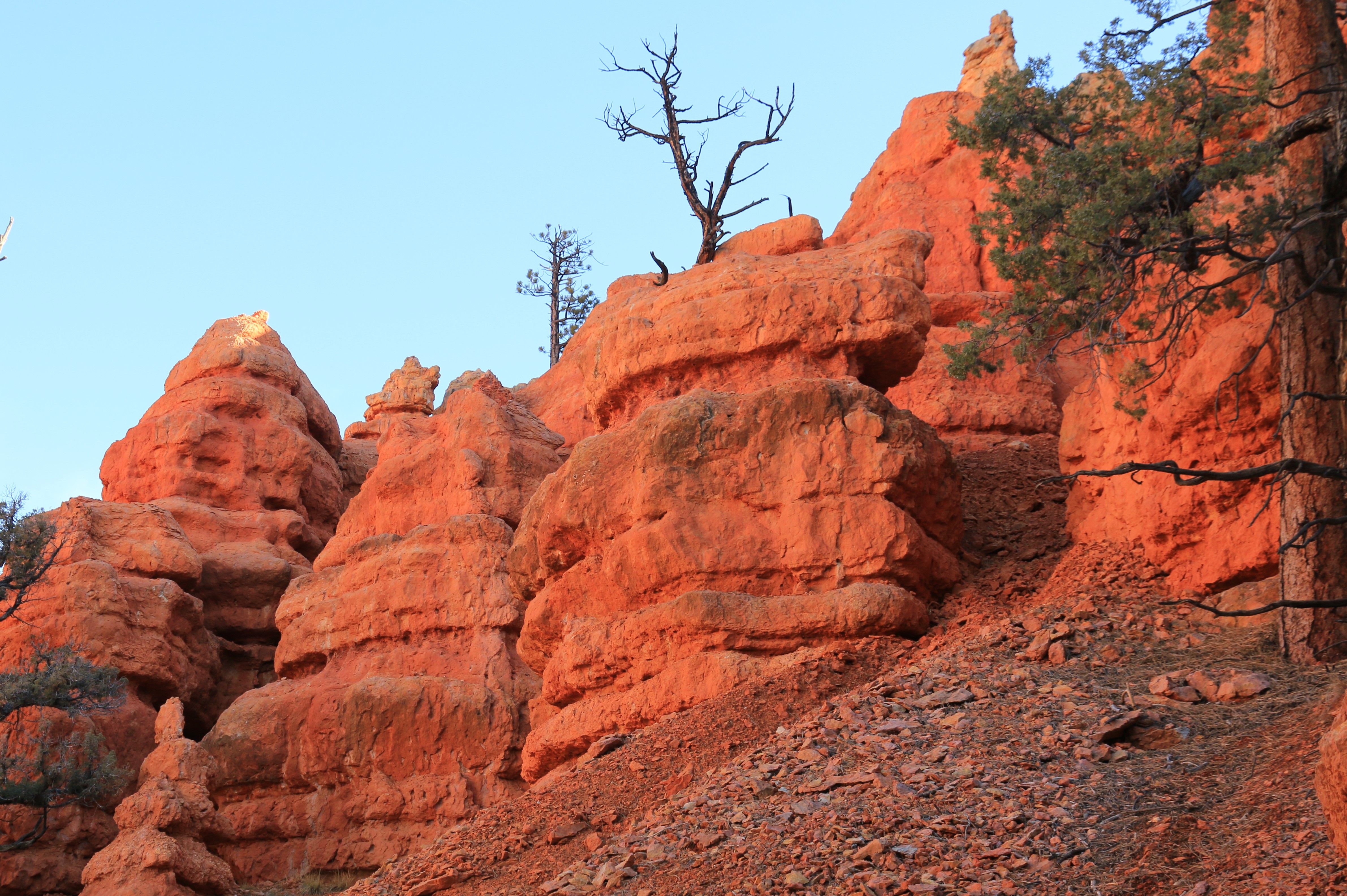 Red Canyon
